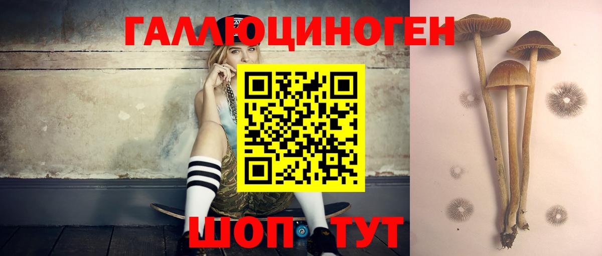 Пушкино  Псилоцибиновые грибы GOLDEN TEACHER  Вход с VPN  Псилоцибиновые грибы Psilocybine cubensis 